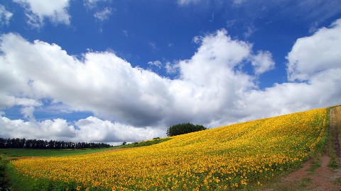 空调保养实用窍门